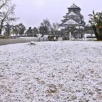 大阪にも寒波がやってきました