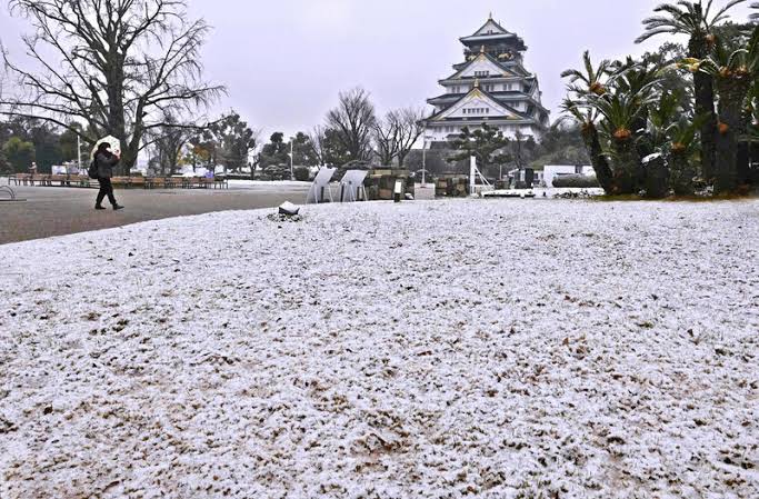 大阪にも寒波がやってきました