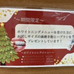 🎄期間限定🎄